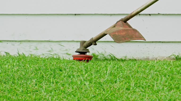 Best Organic Lawn Care Solutions  in Henderson, KY